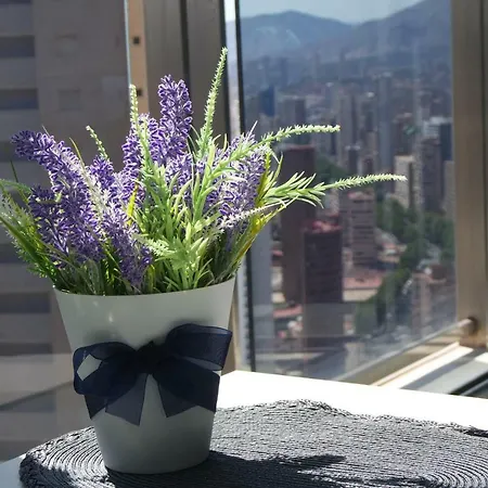Apartamento Mirador Luxury Apart